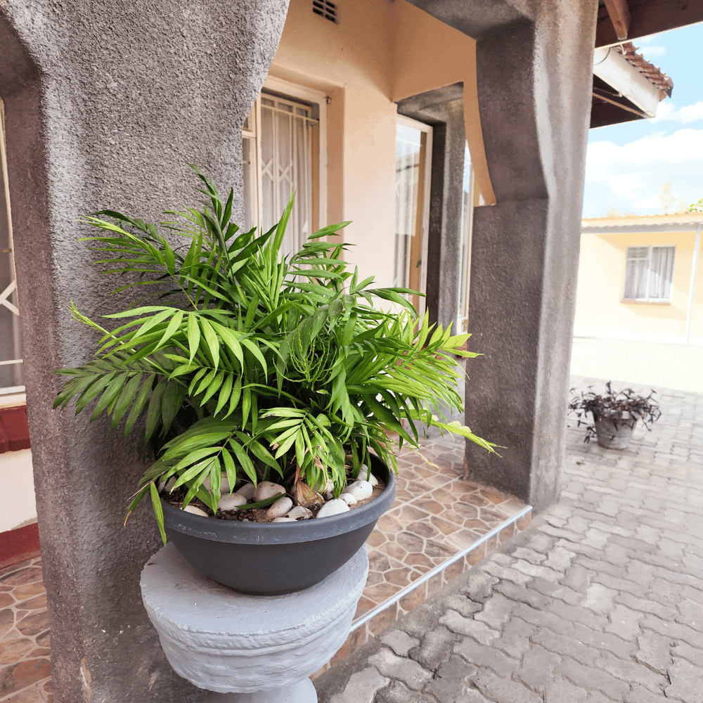 Chihera Villa - Exterior